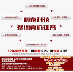 臨淄與淄博推廣新策略 預存5000元，淄博網泰科技開啟教育咨詢新篇章